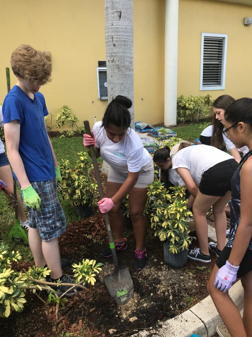 Christ Journey Partners with IBHS for Beautification