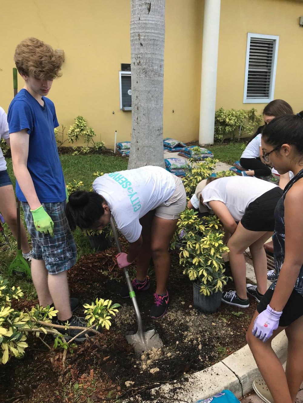 Christ Journey Partners with IBHS for Beautification