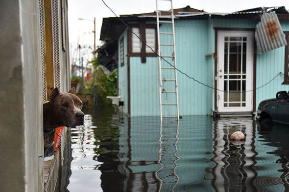 Puerto+Rico+Remains+Strong+in+the+Aftermath+of+Maria