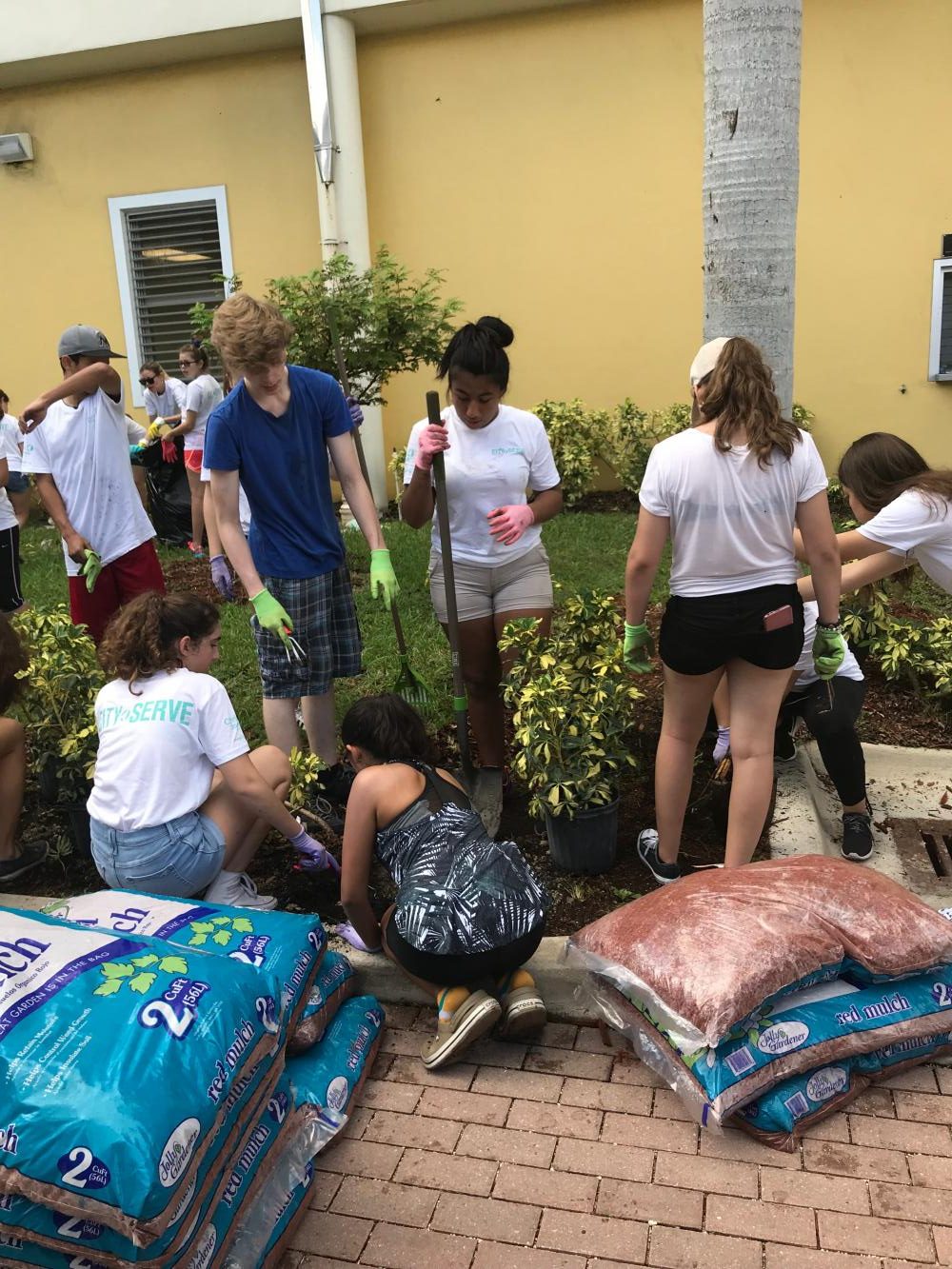 Christ Journey Partners with IBHS for Beautification