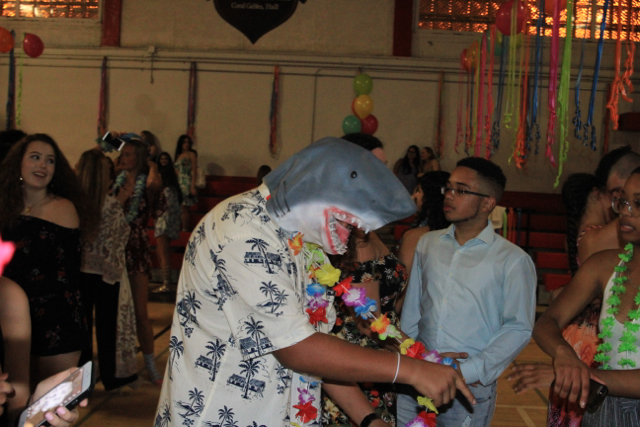 A Hawaiian Homecoming