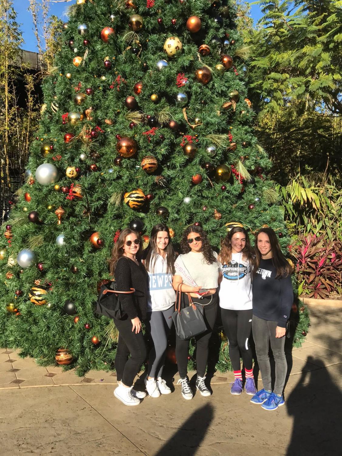 Class of 2019 Spends the Day In Busch Gardens