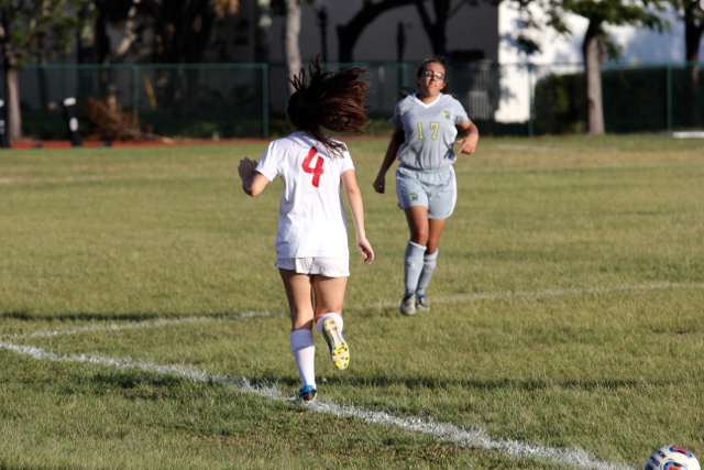 Stellar Soccer Success