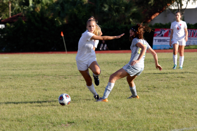 Stellar Soccer Success