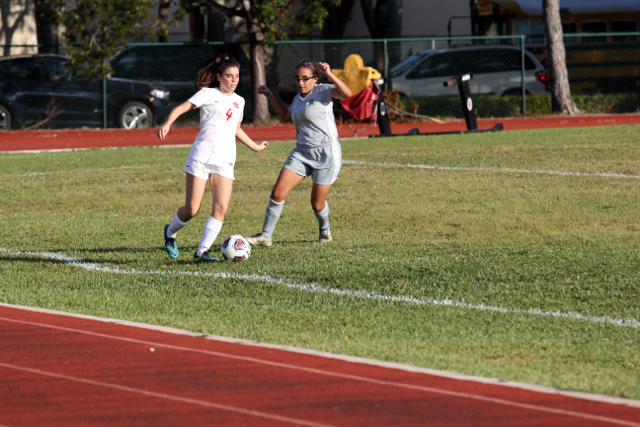 Stellar Soccer Success