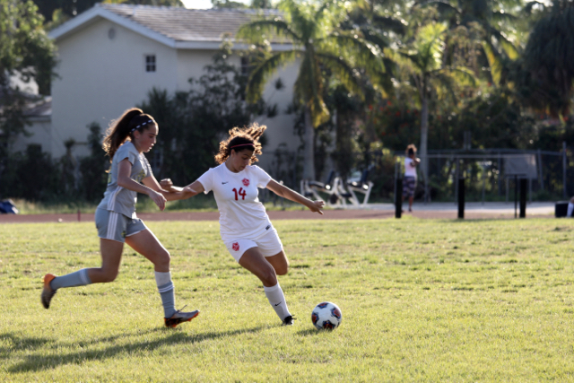 Stellar Soccer Success