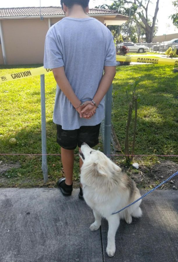 A juvenile delinquent caught by the police breaking and entering into a home, detained and handcuffed.