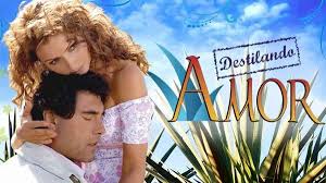 Las Mejores 5 Novelas Hispanas