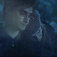 Harry Potter and Hermoine Granger never fell in love