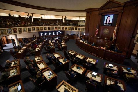 State of Florida Passes New Gun Legislation