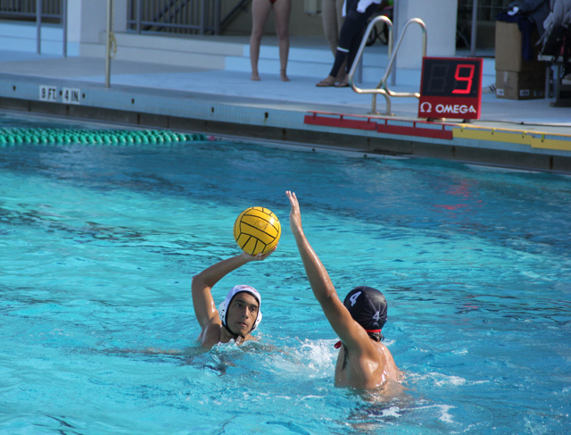 Water Polo Team Takes on Columbus