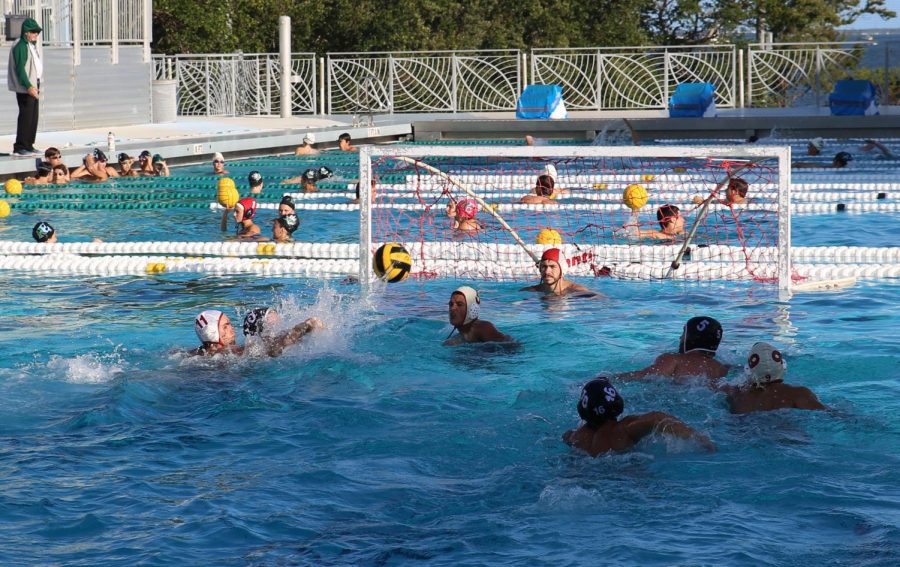 Coral Gables Water Polo Takes on Barbara Goleman