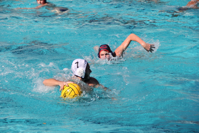 Water Polo Team Takes on Columbus