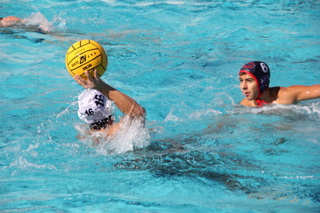 Water Polo Team Takes on Columbus