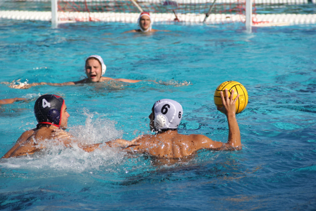 Water Polo Team Takes on Columbus