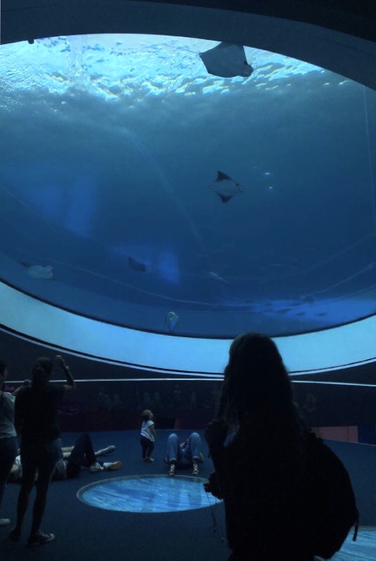 The Frost Museum's famous Aquarium.