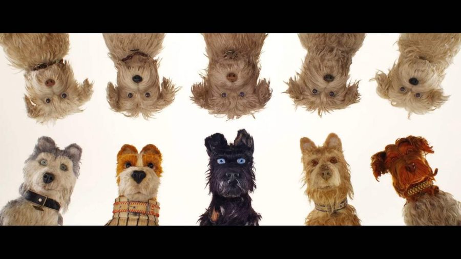 The entire movie looks like this; perfectly symmetrical with a drab pastel background, but it works very nicely.