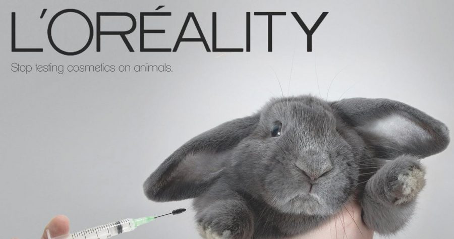 Animal Makeup Testing