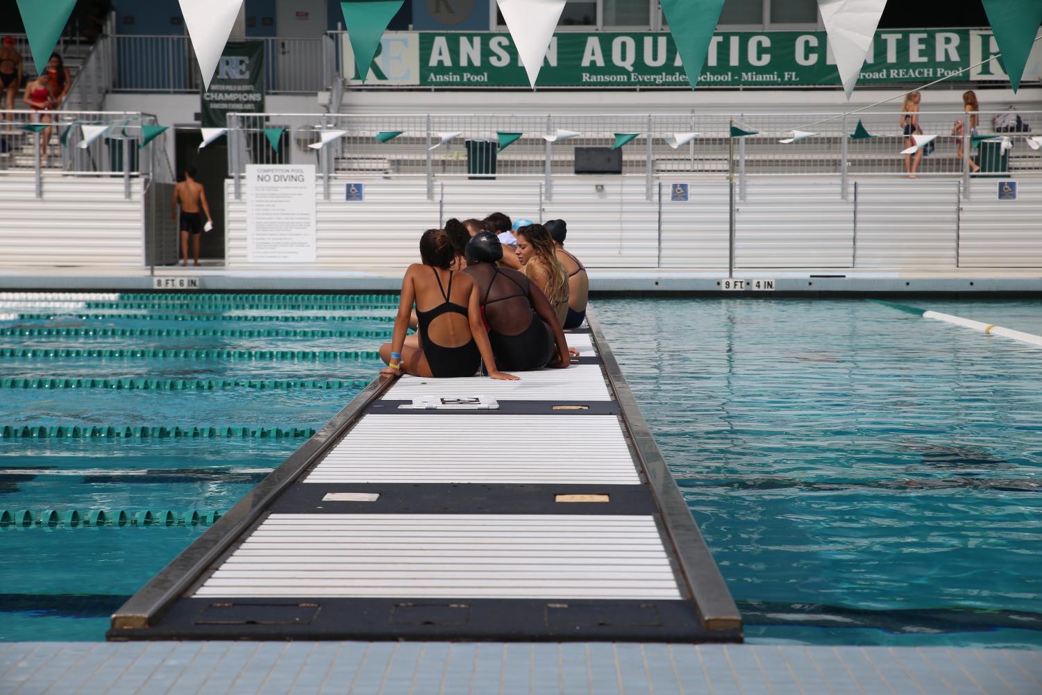 Cavalier Swimming