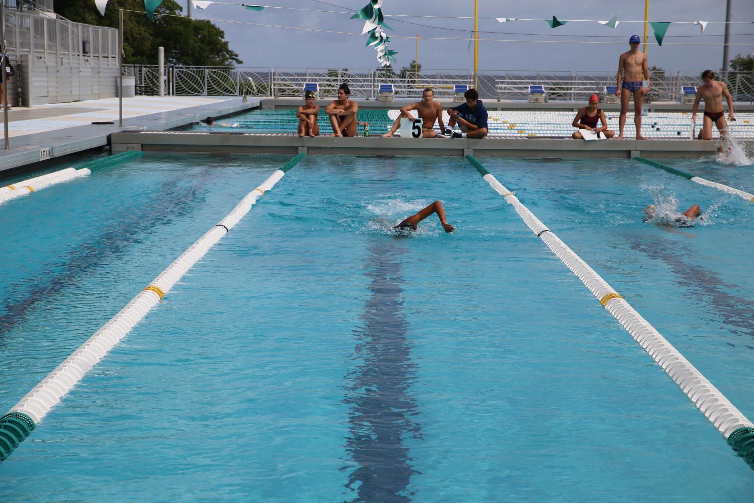 Cavalier Swimming