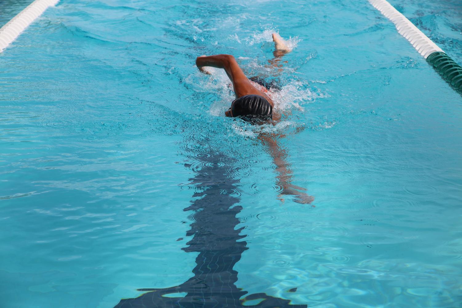 Cavalier Swimming