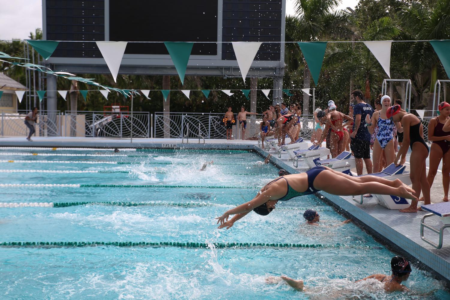 Cavalier Swimming