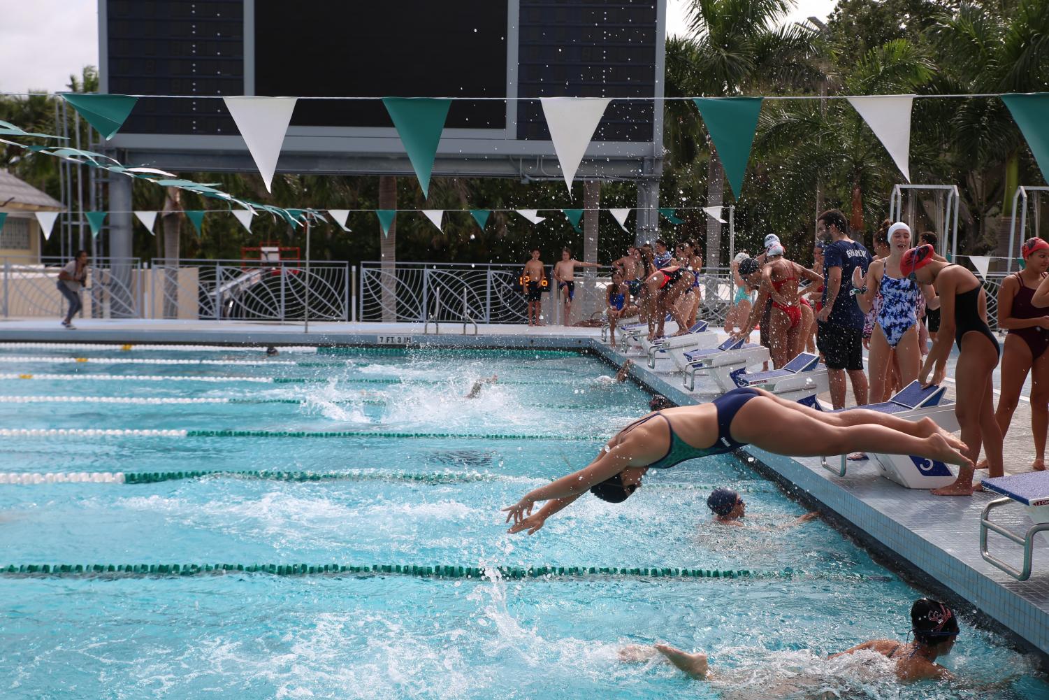 Cavalier+Swimming