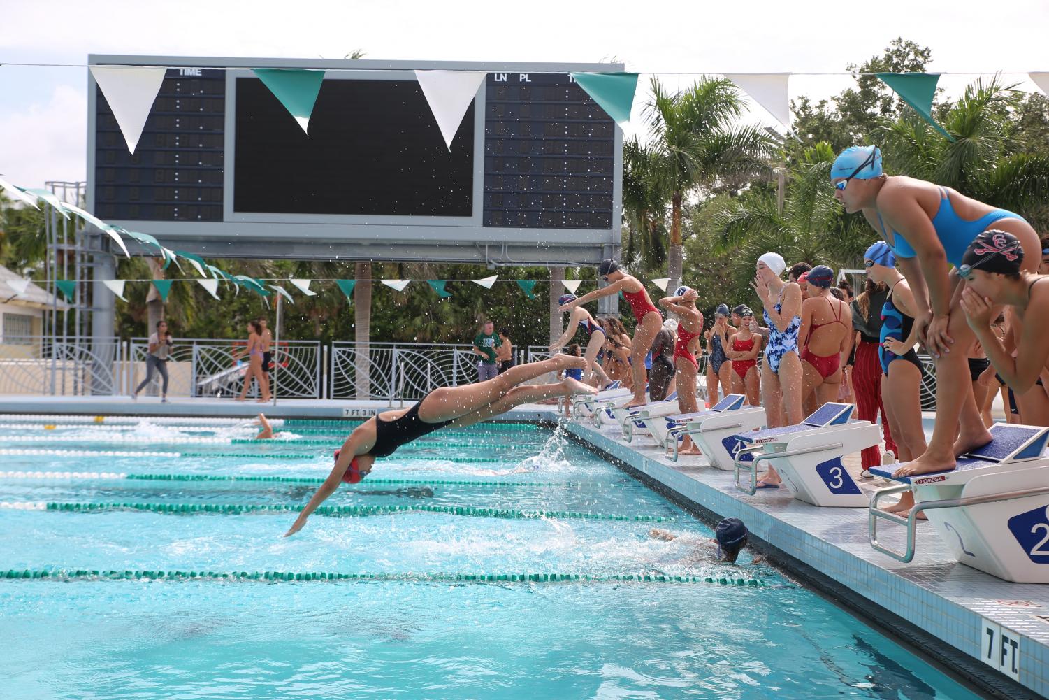 Cavalier Swimming