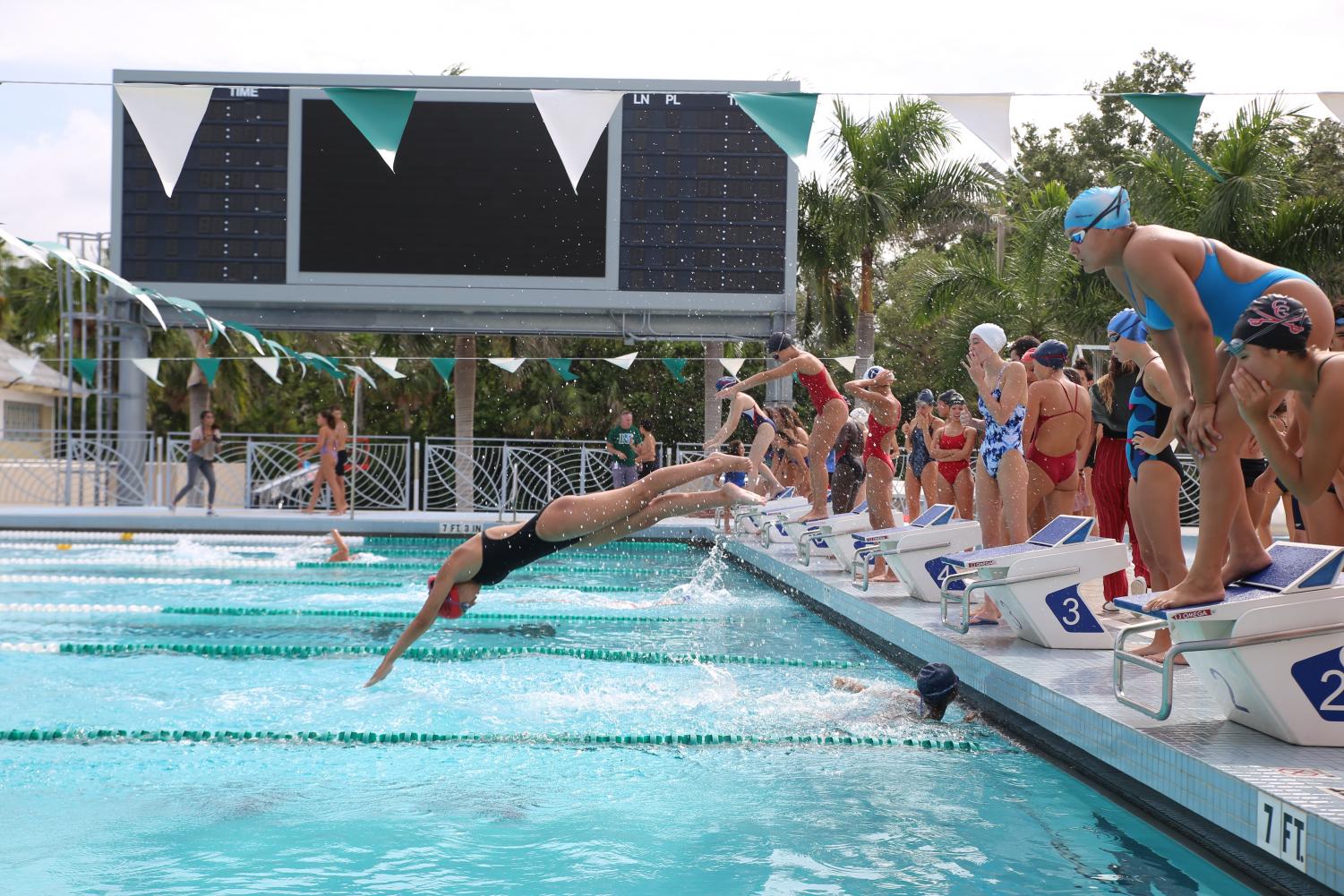 Cavalier+Swimming