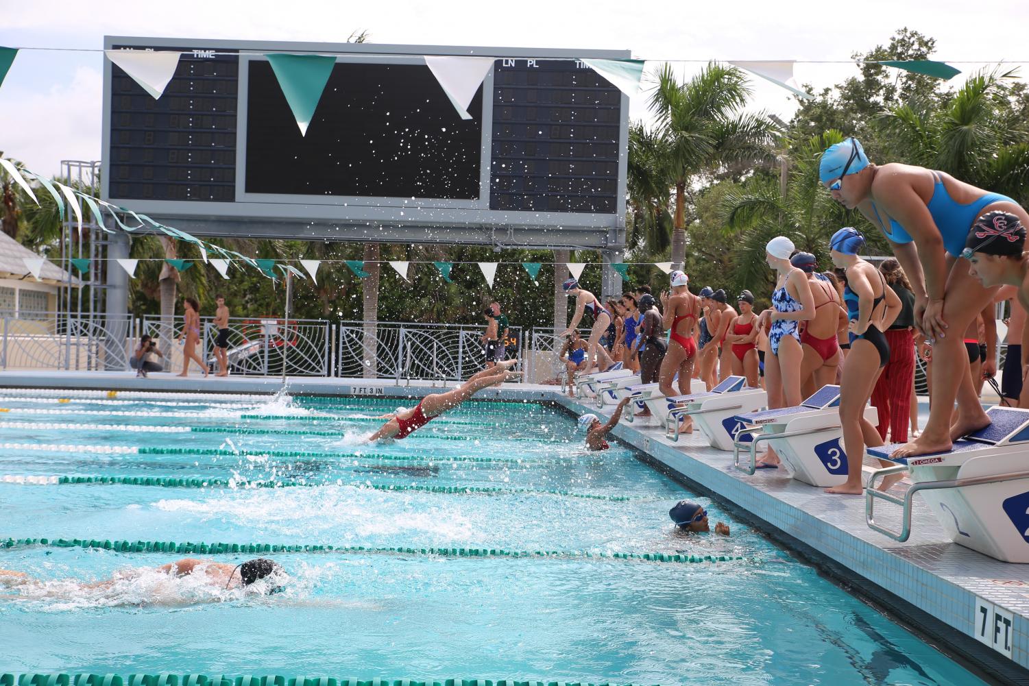 Cavalier Swimming