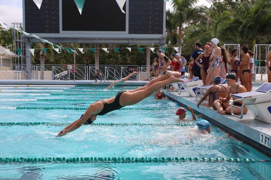 Cavalier Swimming