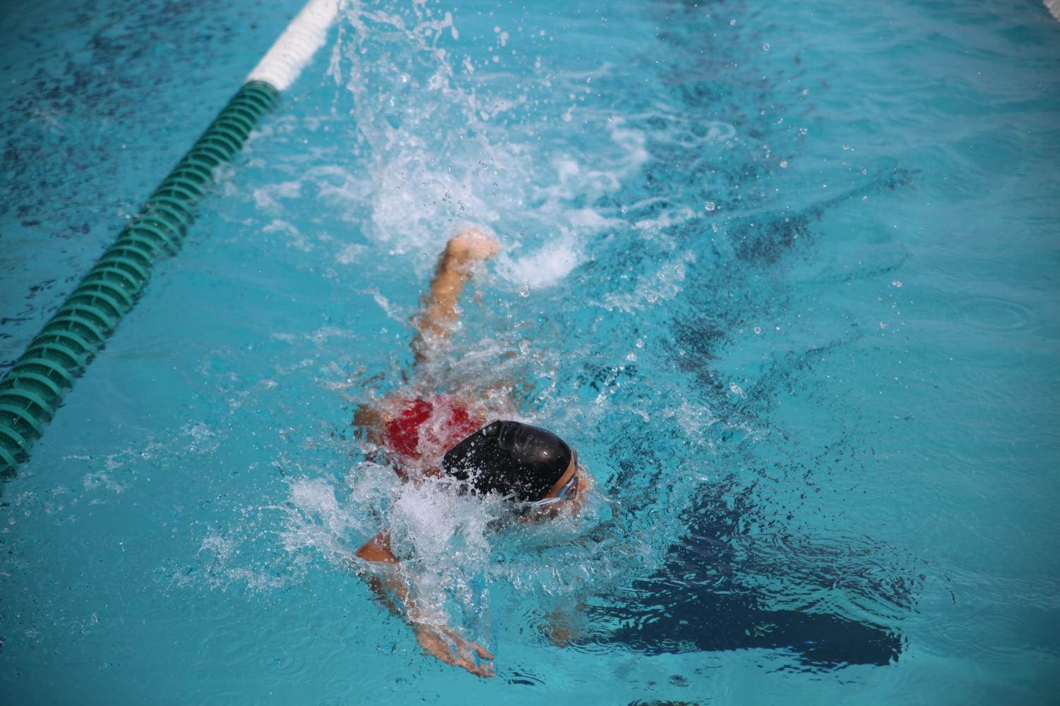 Cavalier Swimming