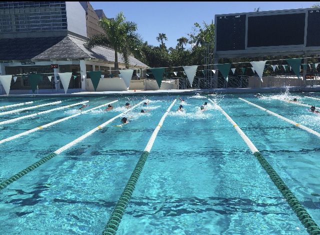 The Coral Gables Swim team practices at Ransom Everglades after school.