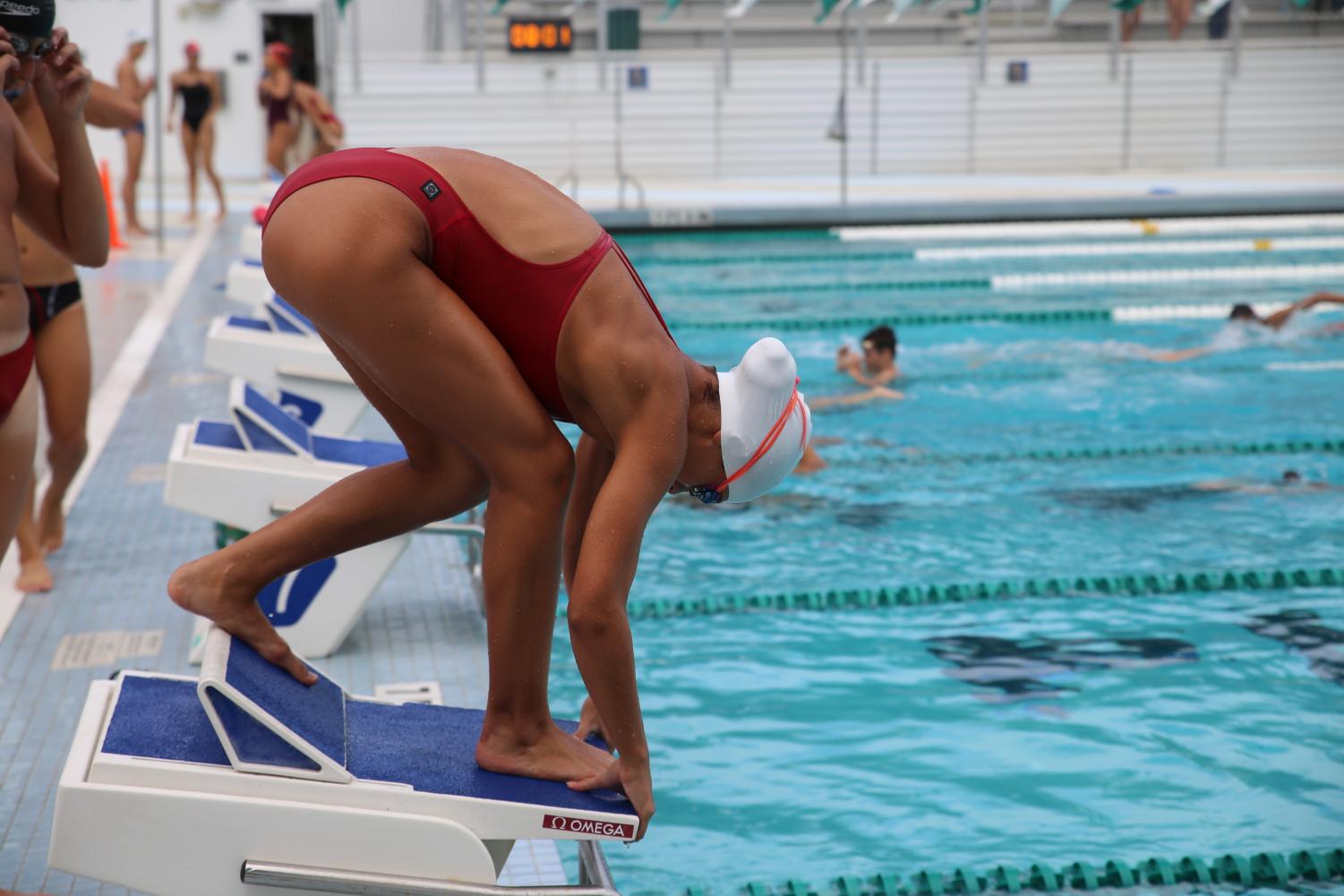 Cavalier Swimming