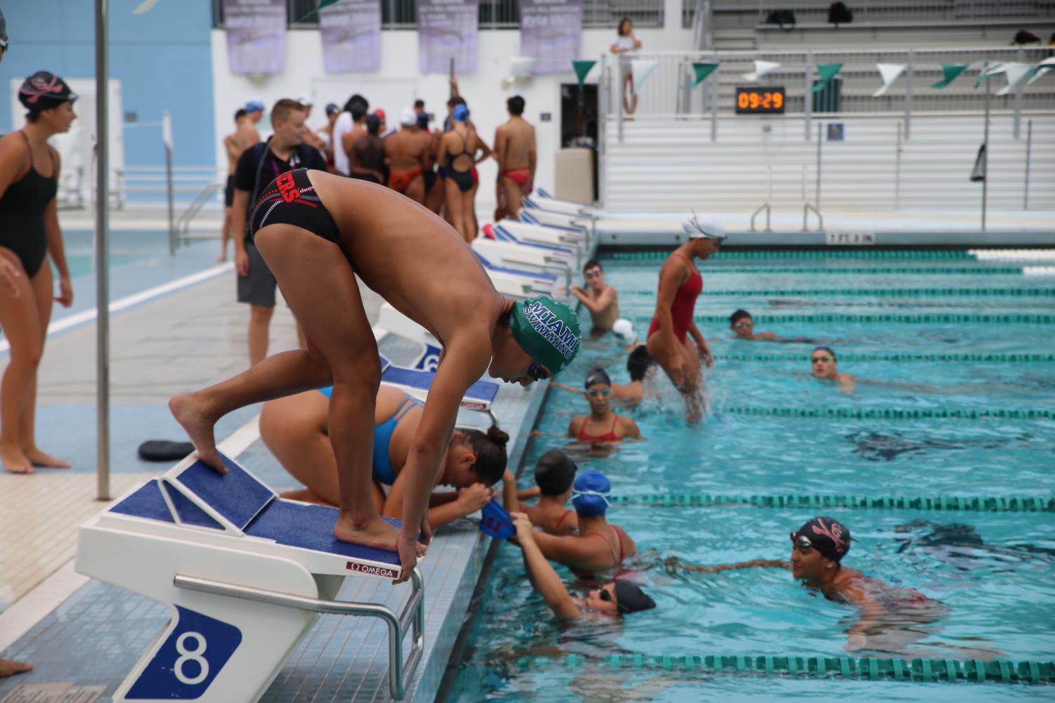 Cavalier Swimming