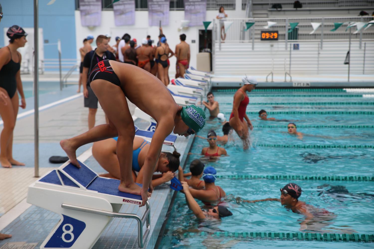 Cavalier+Swimming