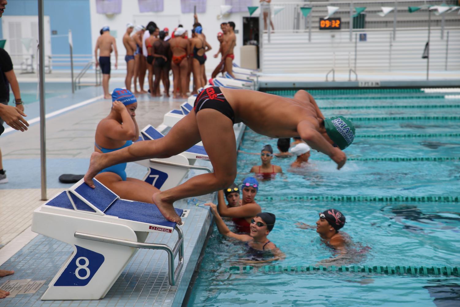 Cavalier Swimming