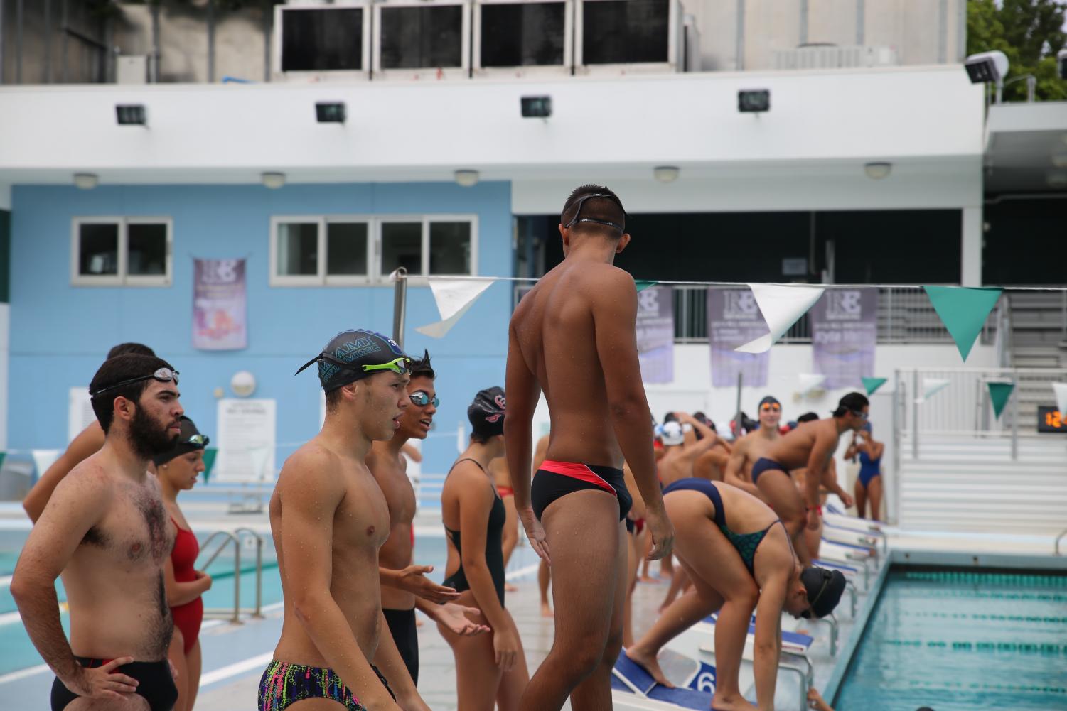 Cavalier Swimming