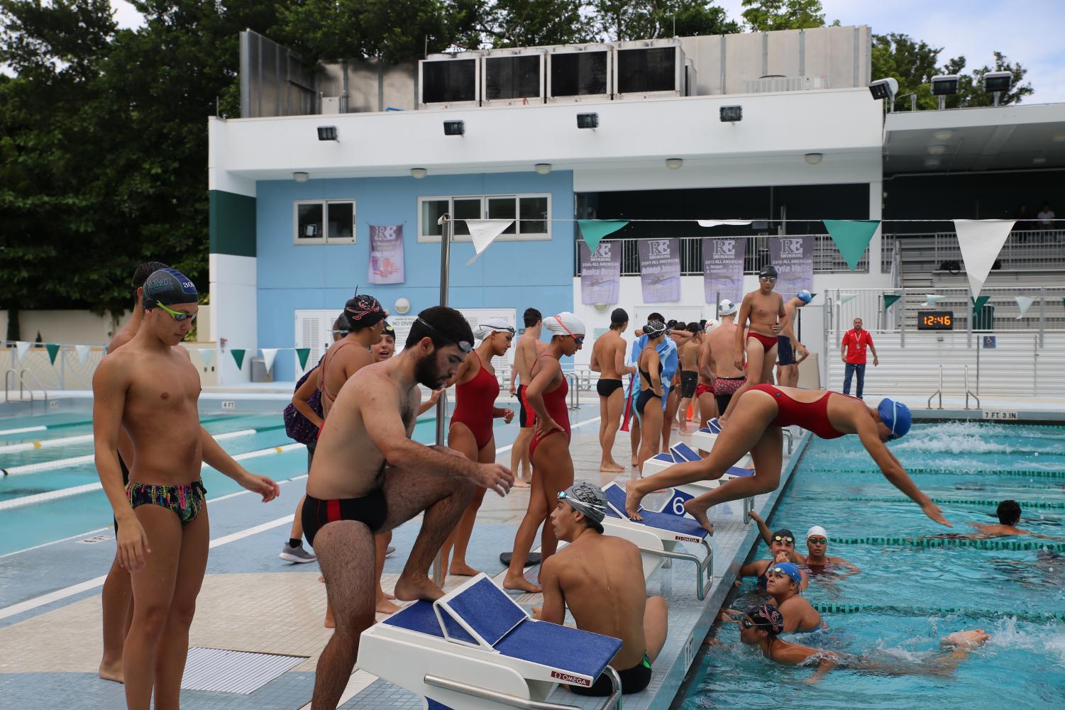 Cavalier Swimming