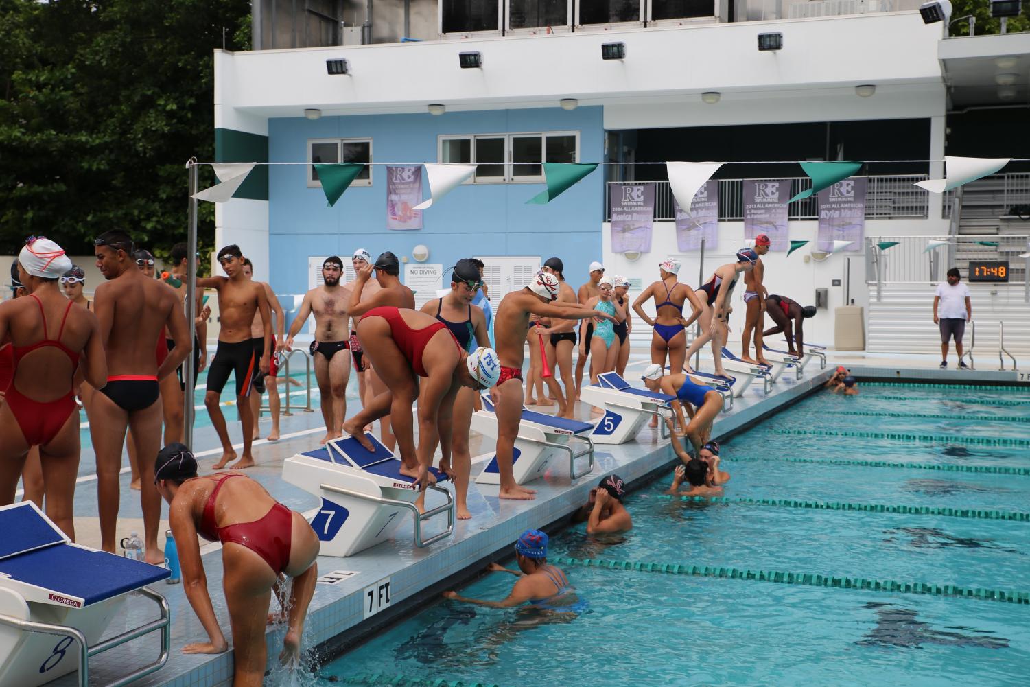 Cavalier Swimming