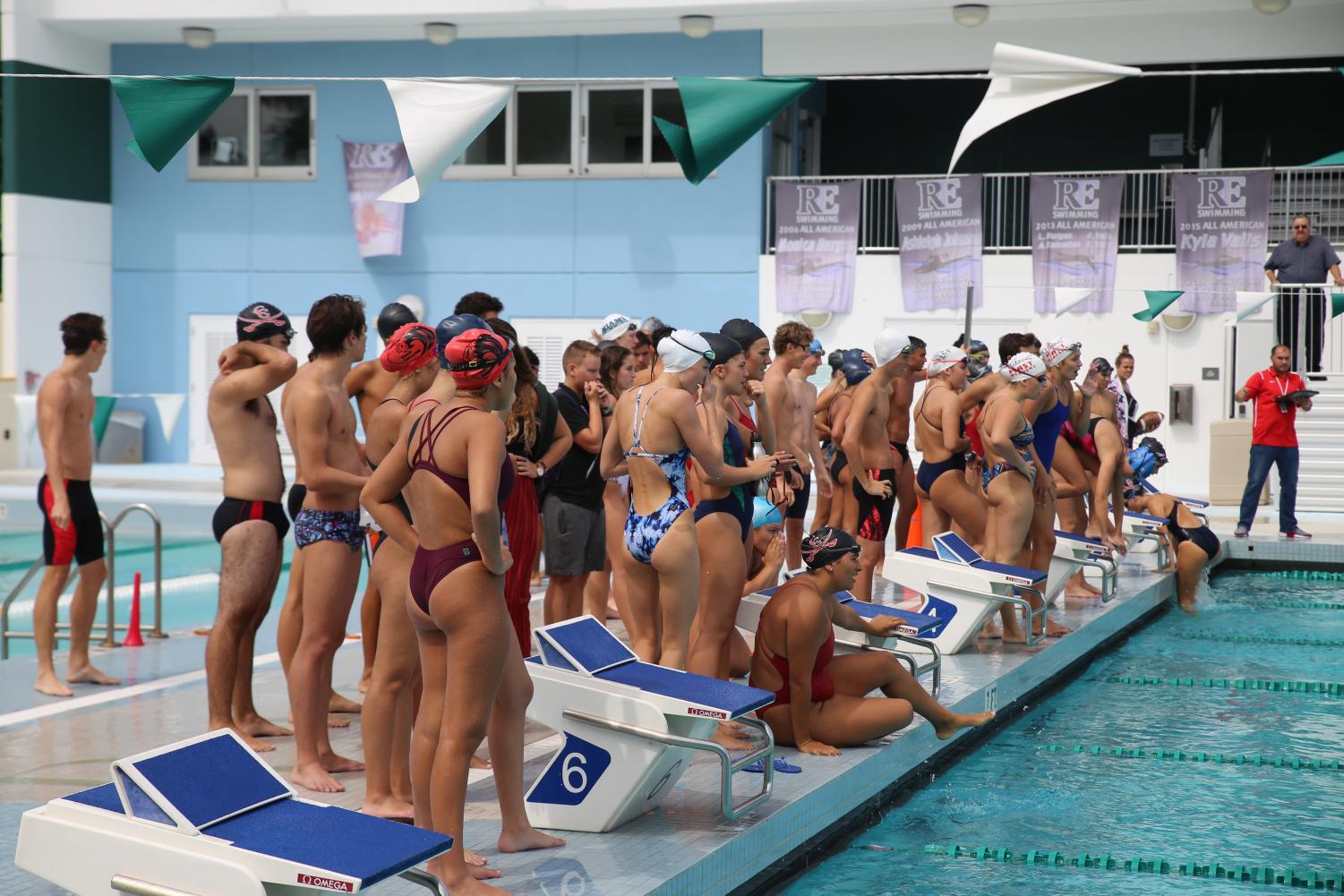 Cavalier Swimming