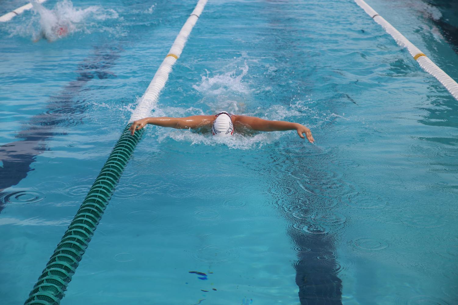Cavalier Swimming