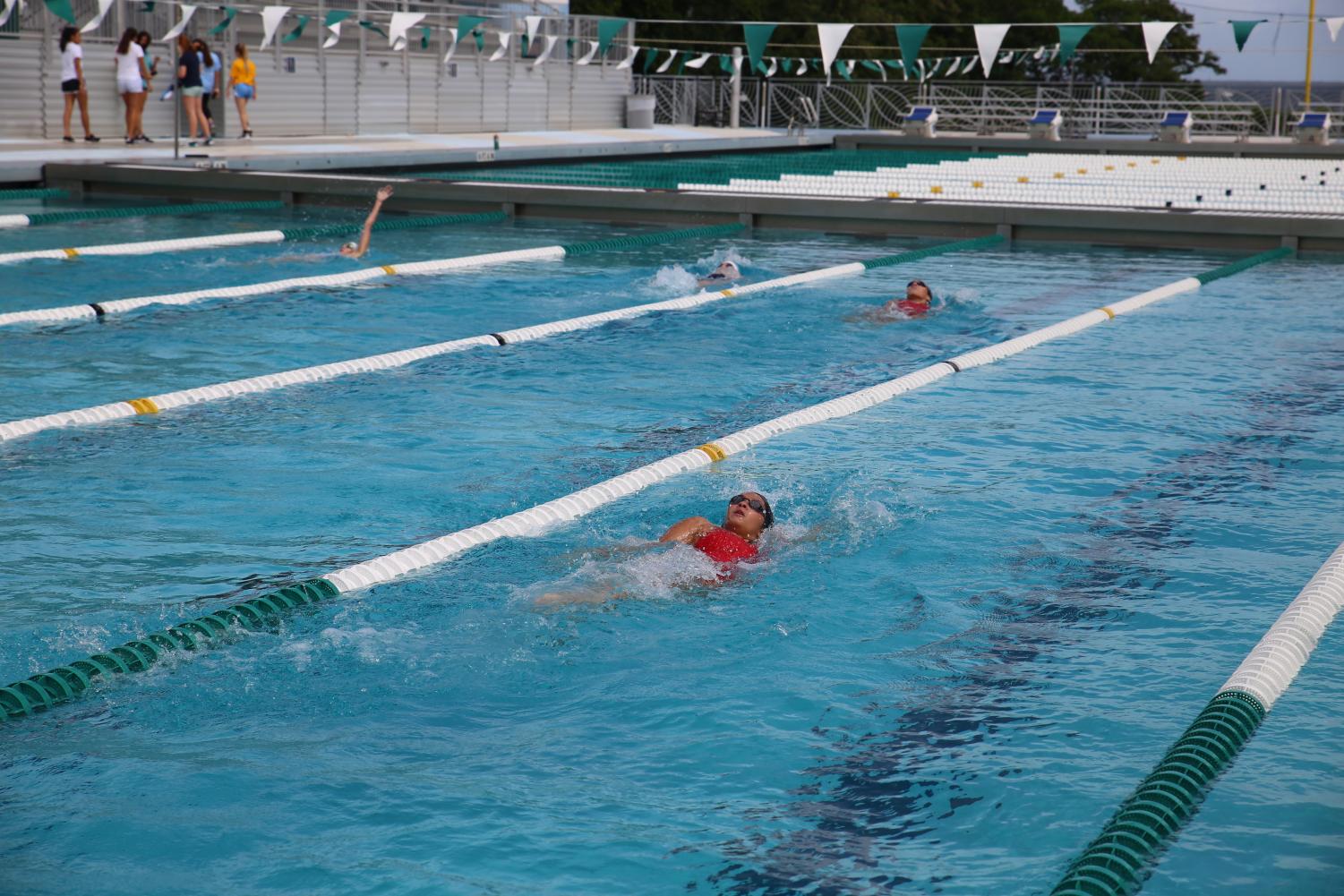 Cavalier Swimming