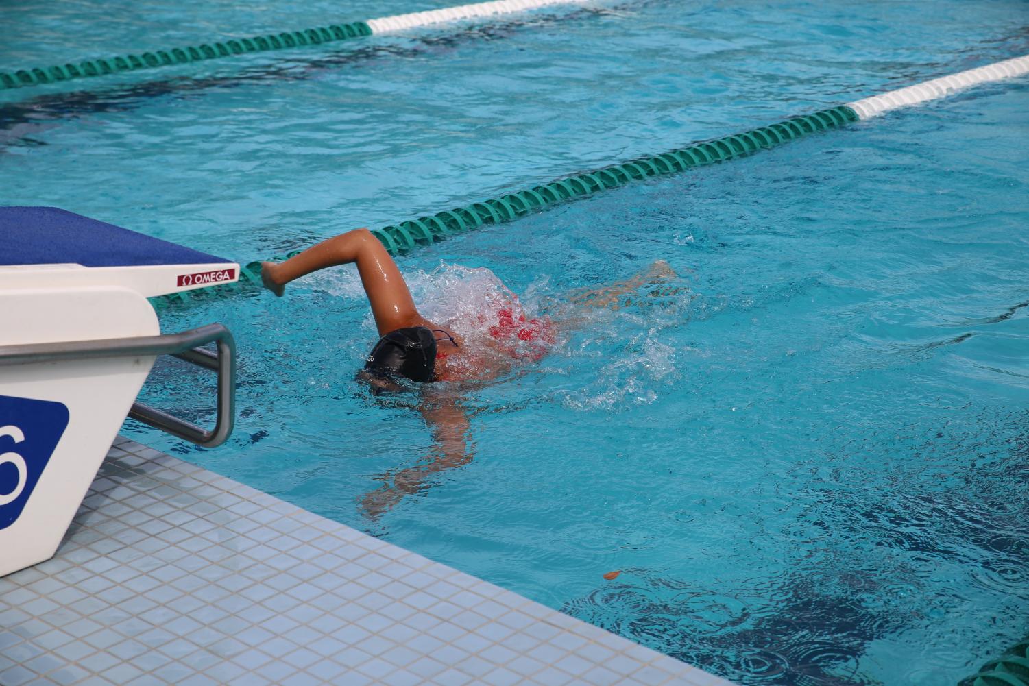 Cavalier Swimming