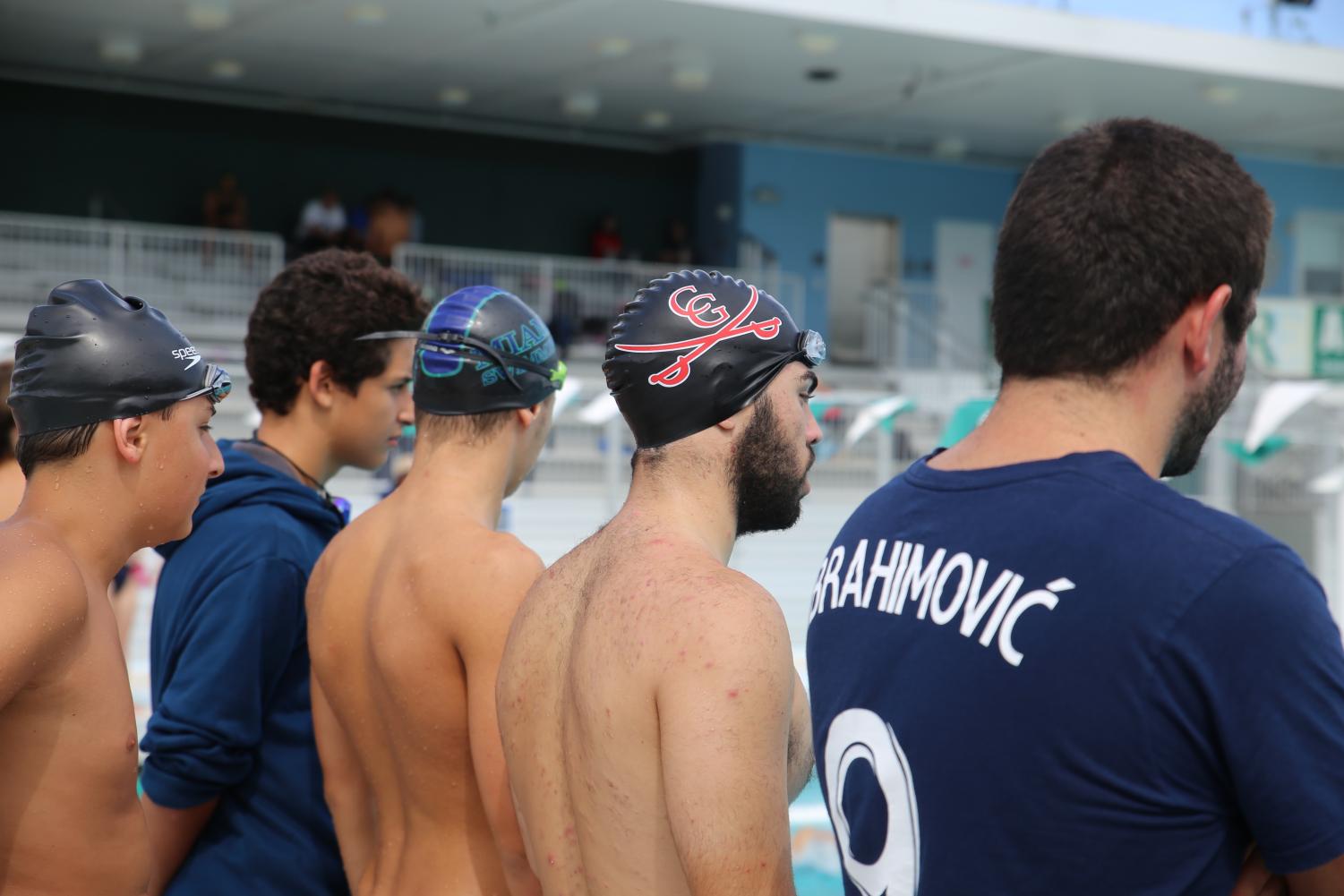 Cavalier Swimming
