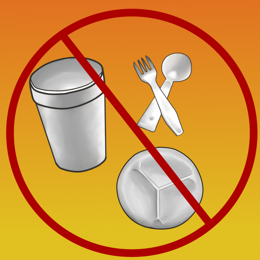 Platos vasos sales y cubiertos biodegradables