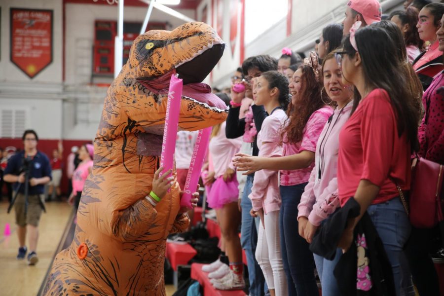 Pink Spirited Pep Rally