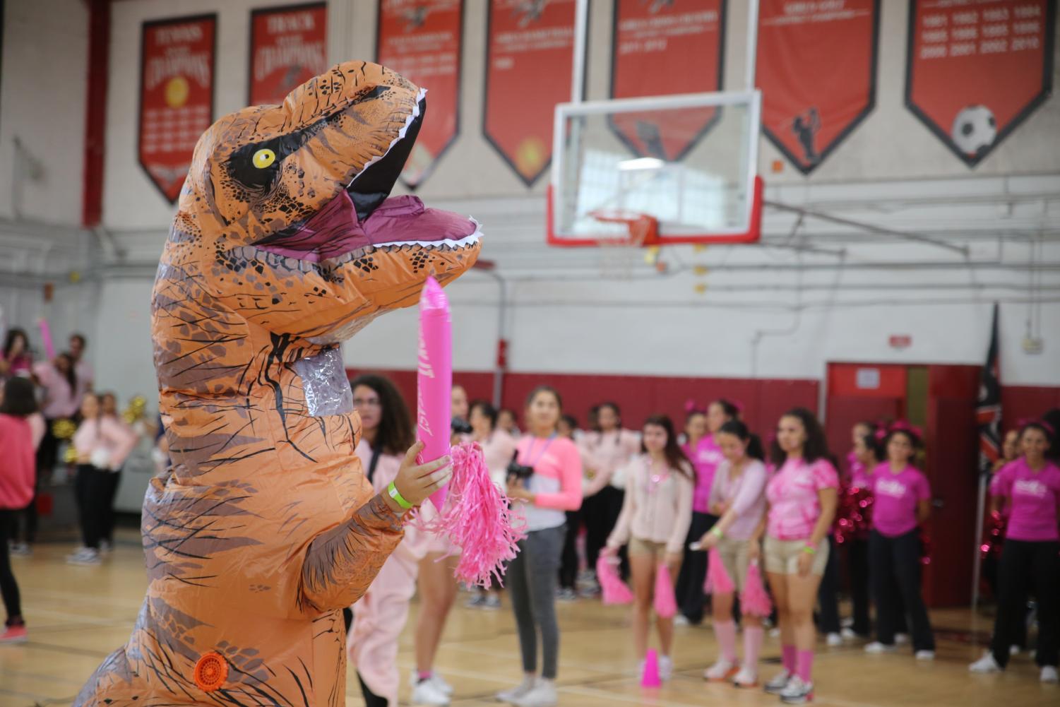Pink Spirited Pep Rally