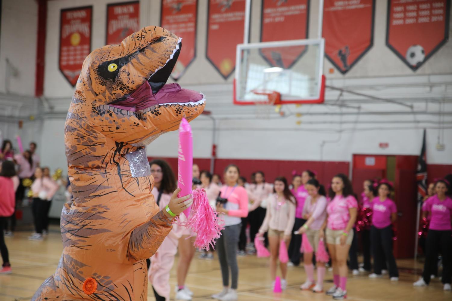 Pink+Spirited+Pep+Rally