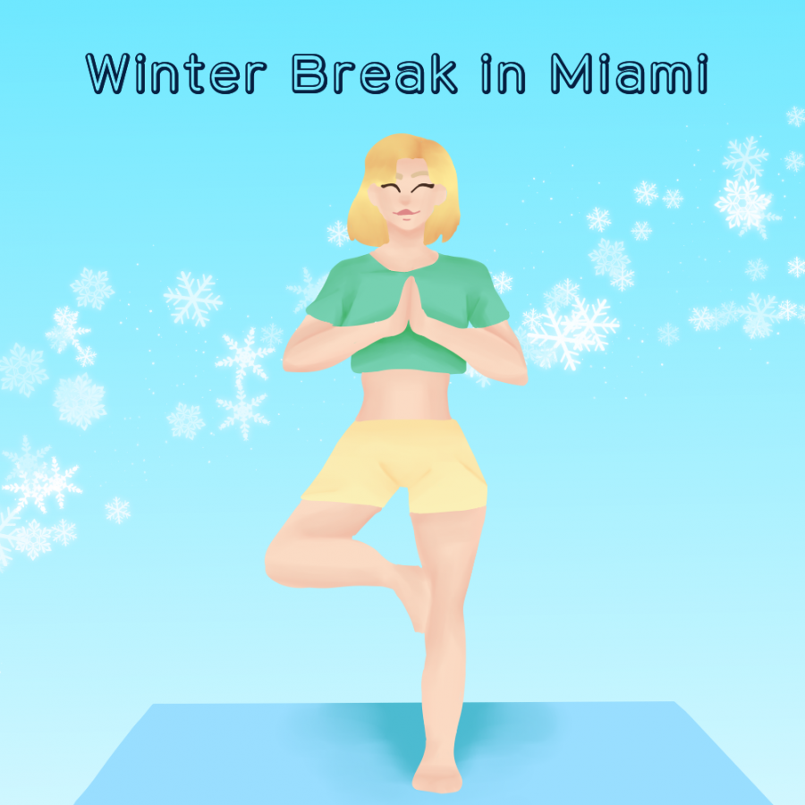 Winter Break in Miami